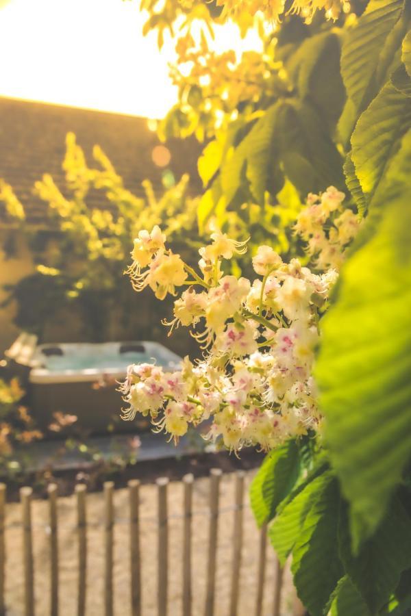 Bed and Breakfast Le Petit Nancay Thenioux Екстер'єр фото