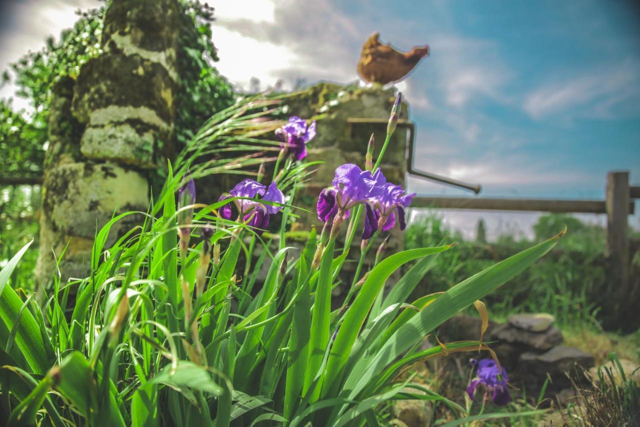 Bed and Breakfast Le Petit Nancay Thenioux Екстер'єр фото