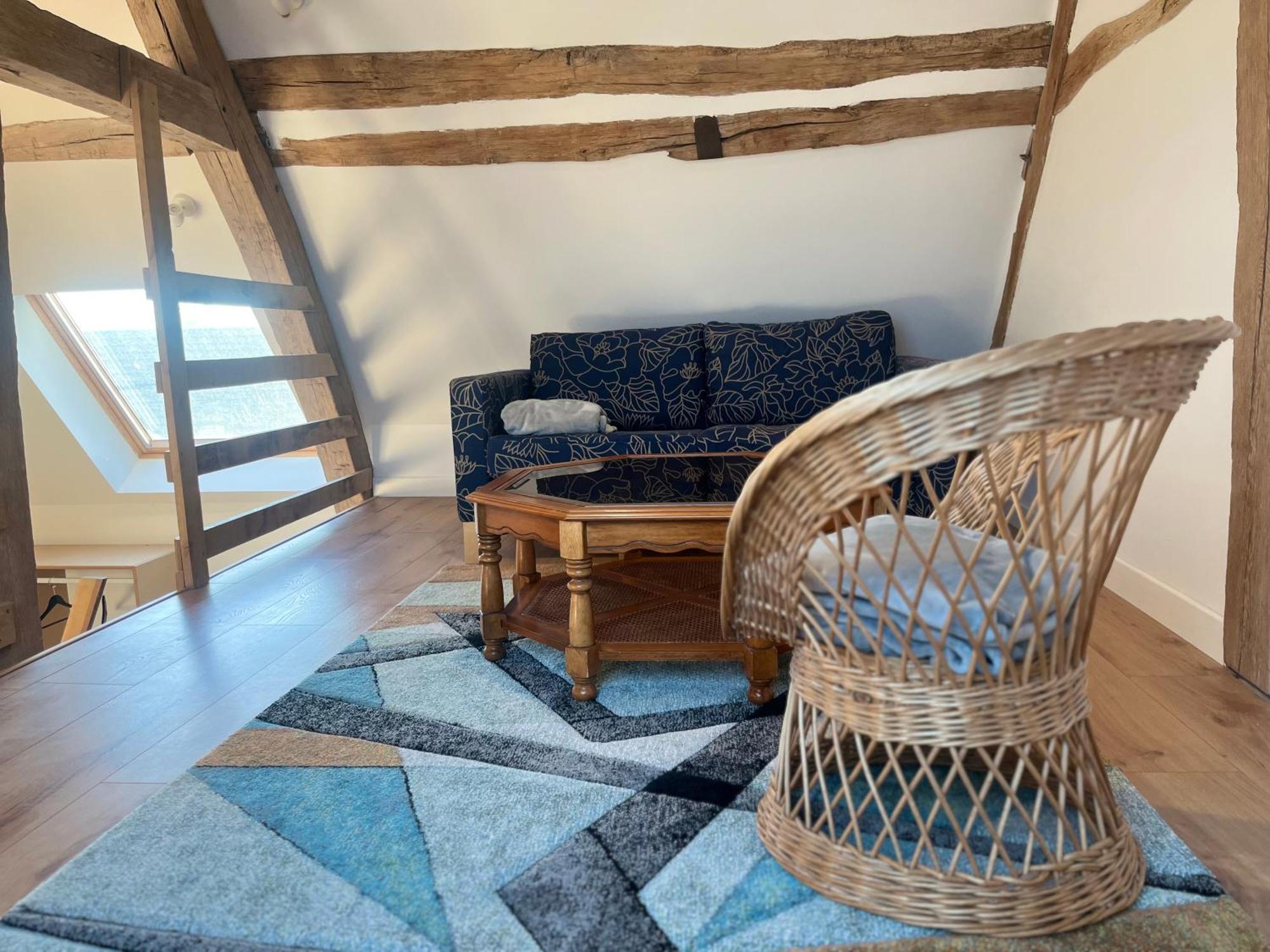 Bed and Breakfast Le Petit Nancay Thenioux Екстер'єр фото
